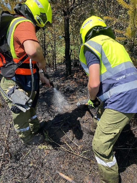 Waldbrand bei sommerlicher Hitze (Bild 1)